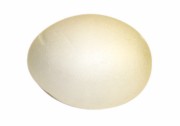 Ovo esferovite 120mm